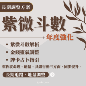 紫微斗數－年度強化方案